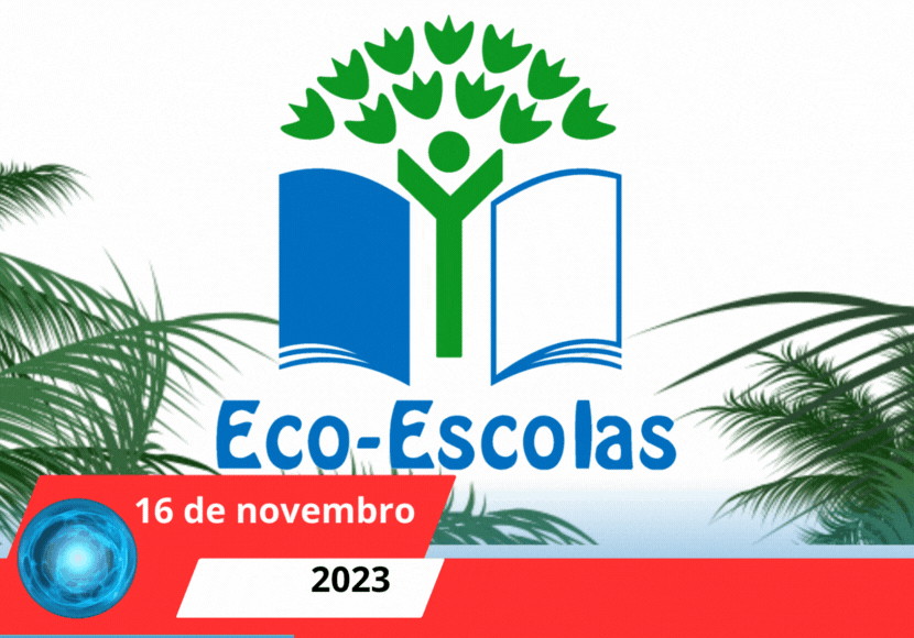 Read more about the article Hastear da Bandeira Eco Escolas Escola de Rio de Vide